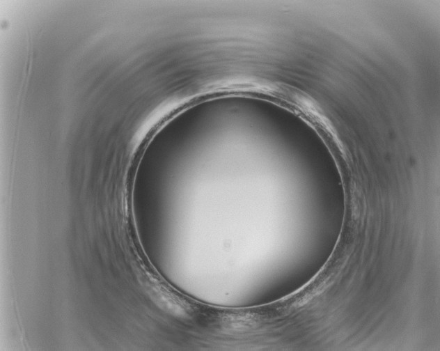 X0000060751328200511171113