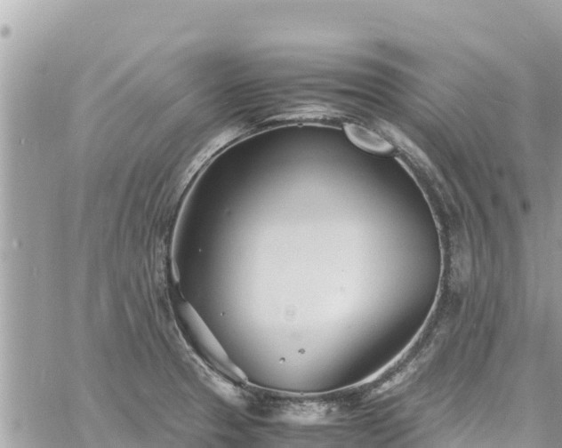 X0000060751329200511171113