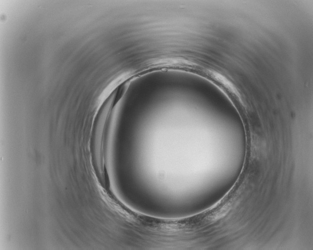 X0000060751330200511171113