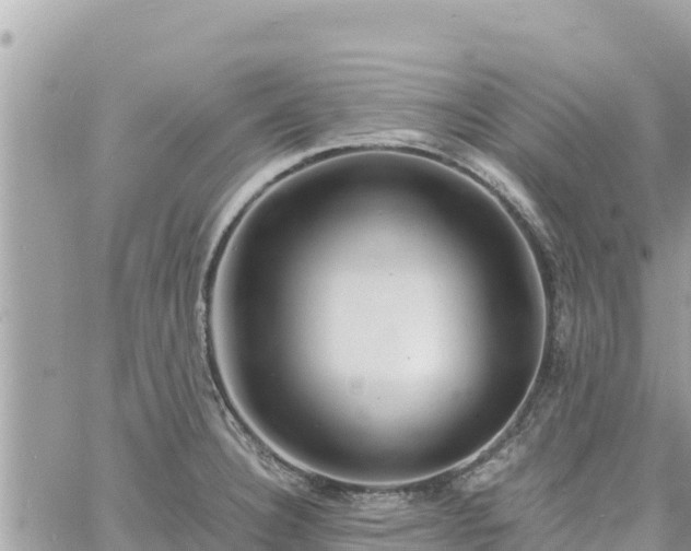 X0000060751332200511171113