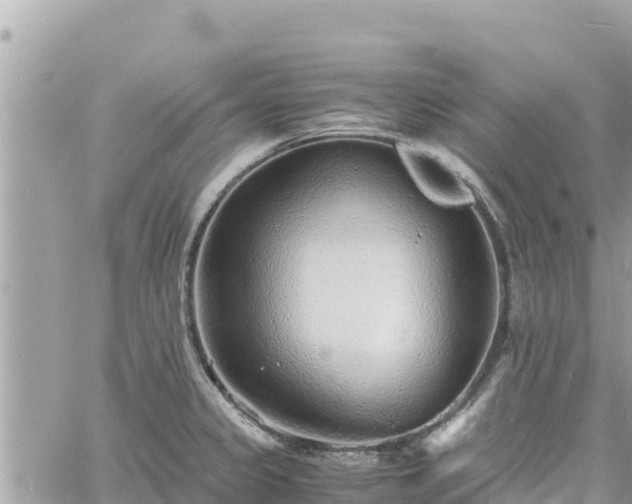 X0000060751333200511171113