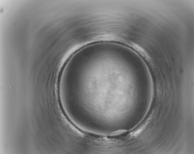 X0000060751334200511171113