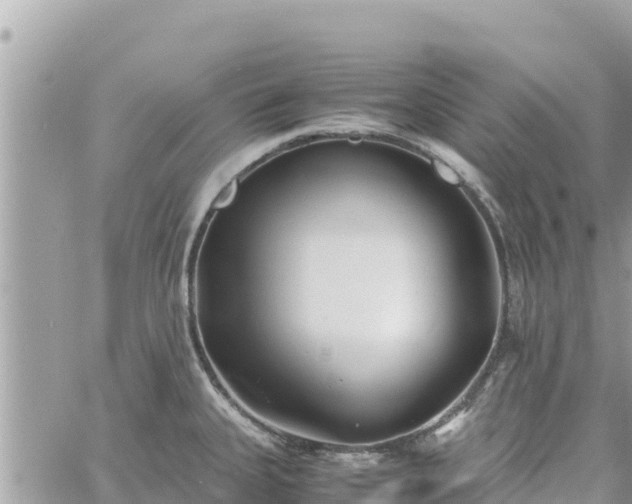 X0000060751335200511171113