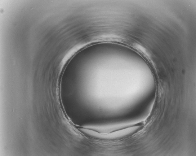 X0000060751336200511171113