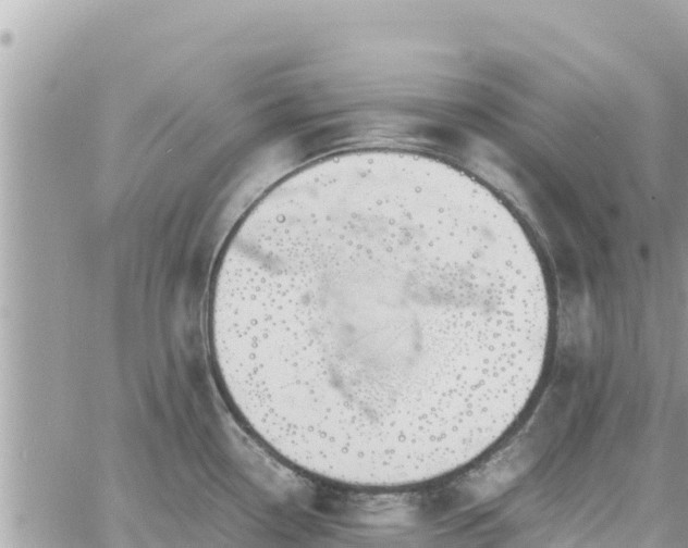 X0000060751338200511171113