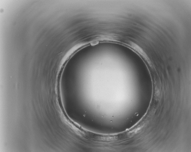 X0000060751339200511171113