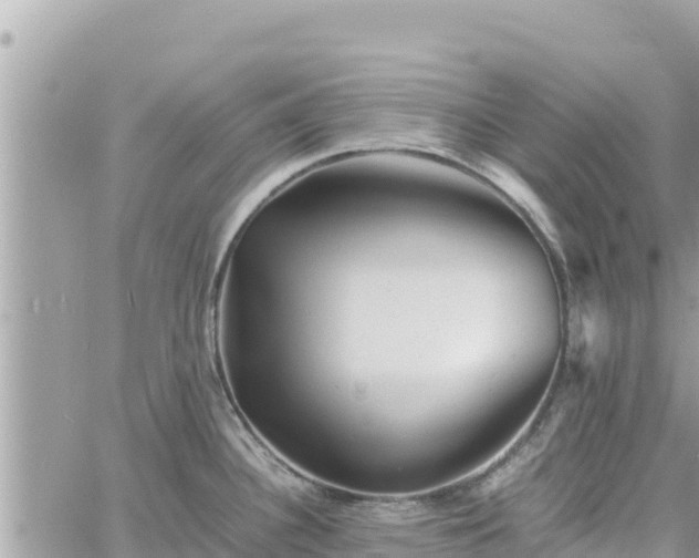 X0000060751340200511171113