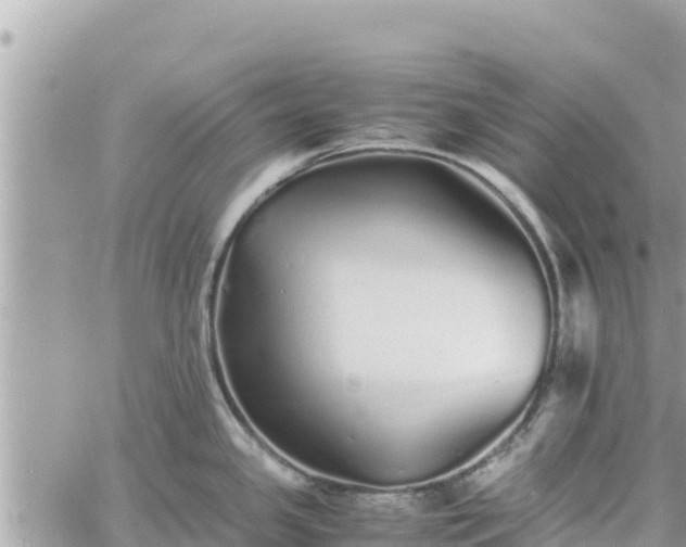 X0000060751341200511171113