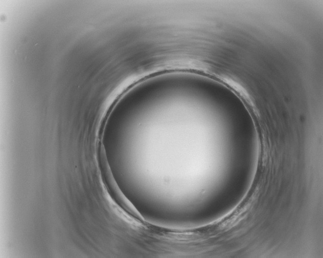 X0000060751342200511171113