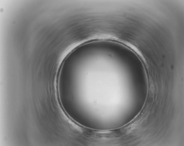 X0000060751343200511171113