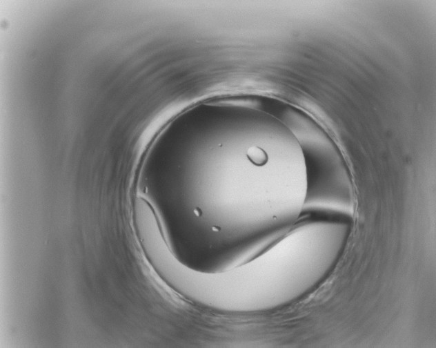 X0000060751344200511171113