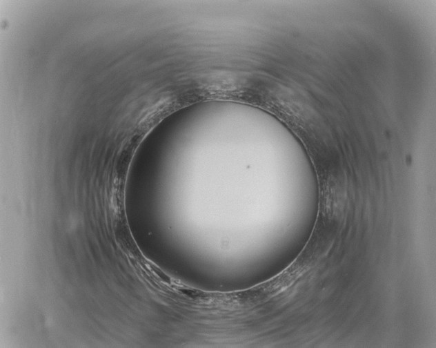 X0000060751346200511171112