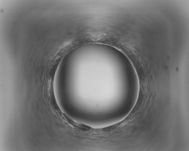 X0000060751349200511171112