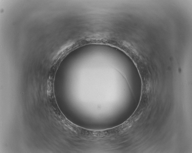 X0000060751350200511171112