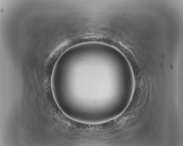 X0000060751351200511171112