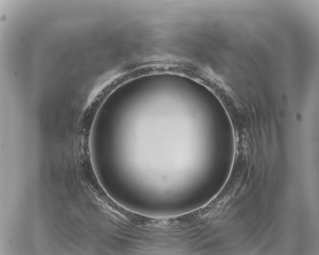 X0000060751352200511171112