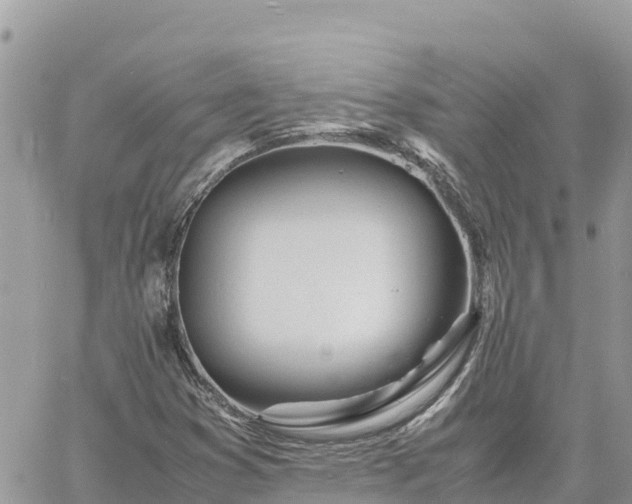 X0000060751353200511171112