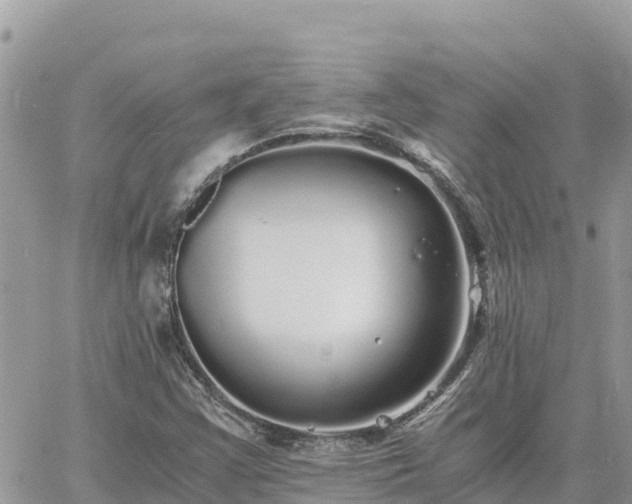 X0000060751355200511171112