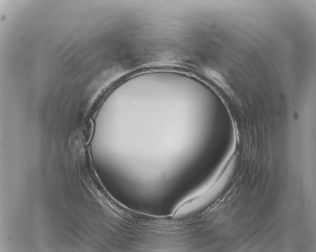 X0000060751356200511171112