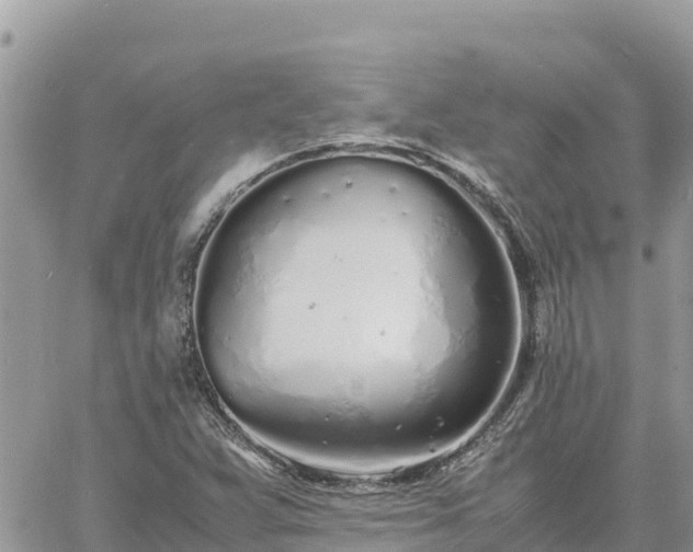 X0000060751359200511171112