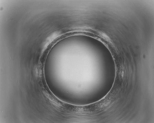 X0000060751360200511171112