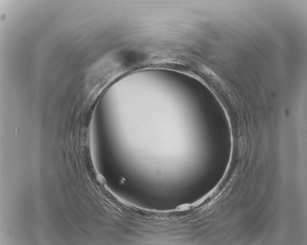 X0000060751361200511171112