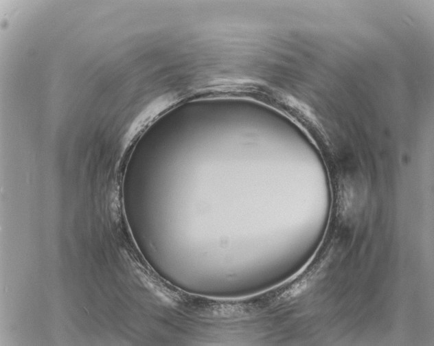 X0000060751362200511171112