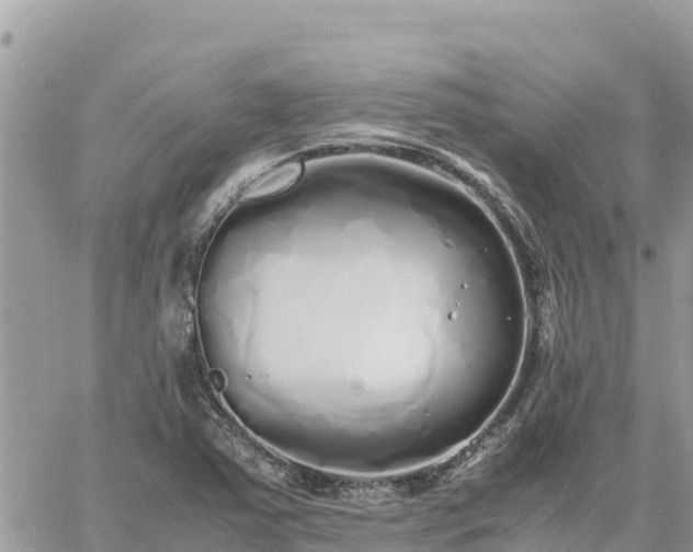 X0000060751363200511171112