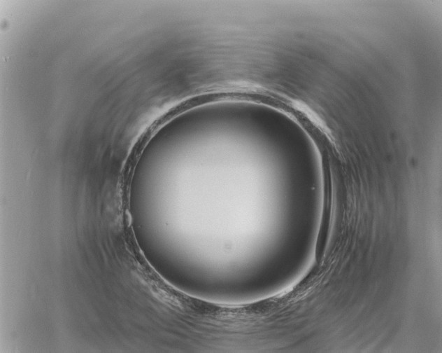 X0000060751364200511171112