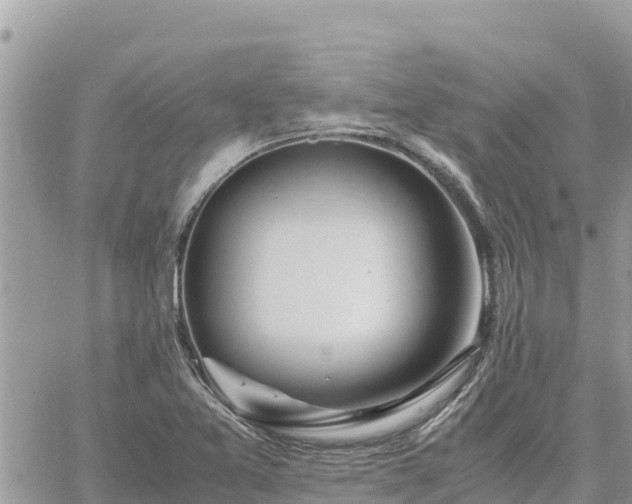 X0000060751365200511171112