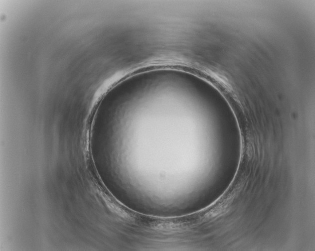 X0000060751366200511171112