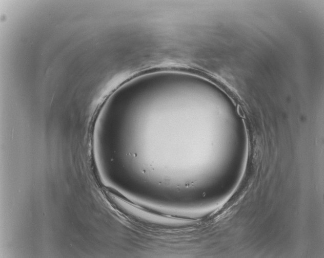 X0000060751367200511171112