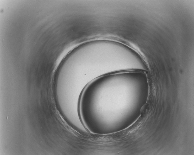 X0000060751368200511171112