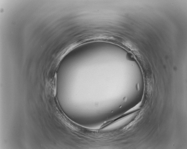 X0000060751369200511171112