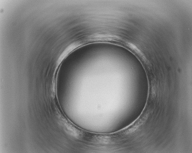 X0000060751370200511171112