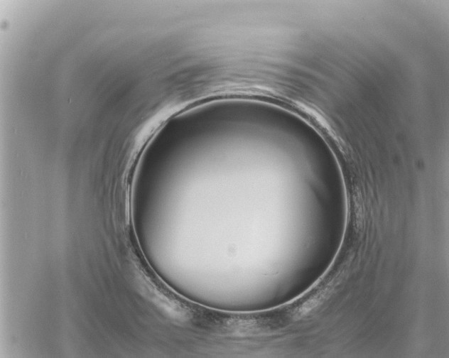 X0000060751371200511171112