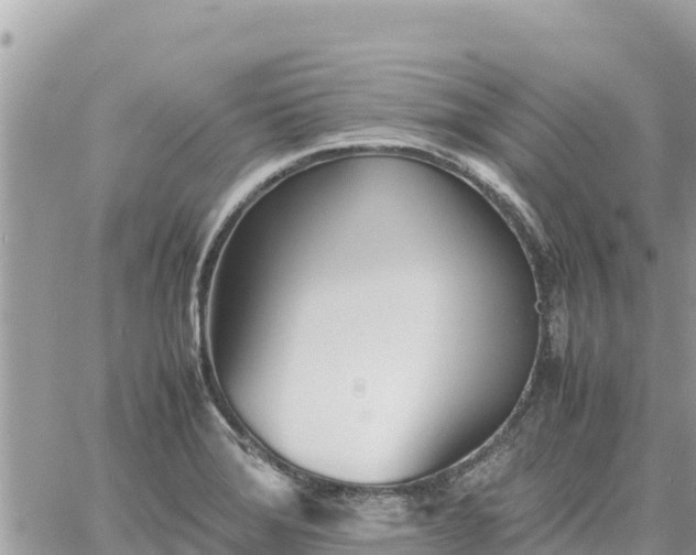 X0000060751372200511171112