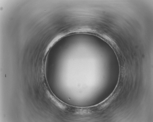 X0000060751374200511171111