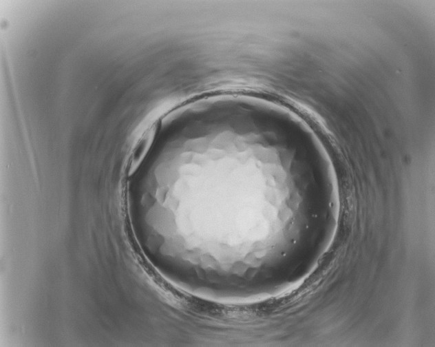 X0000060751375200511171111