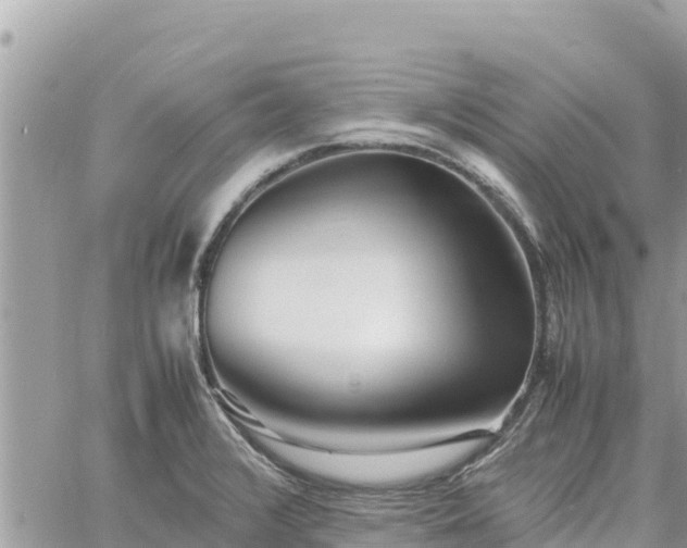 X0000060751376200511171111