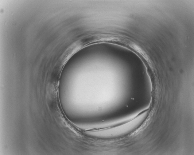 X0000060751377200511171111