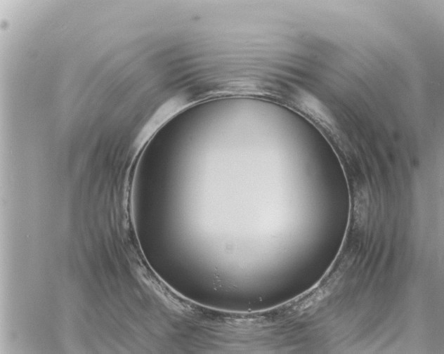 X0000060751378200511171111