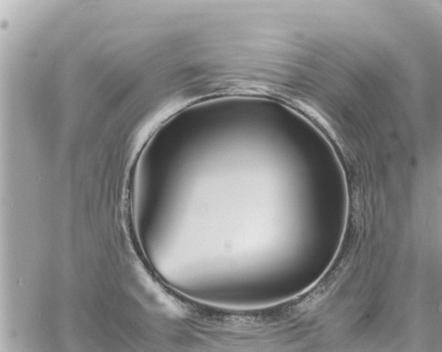 X0000060751379200511171111