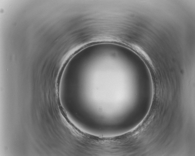 X0000060751380200511171111