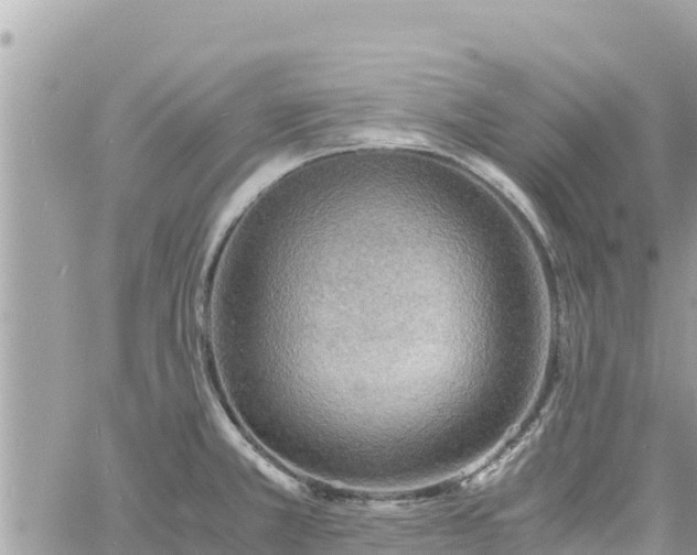 X0000060751381200511171111