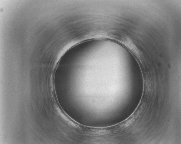 X0000060751382200511171111