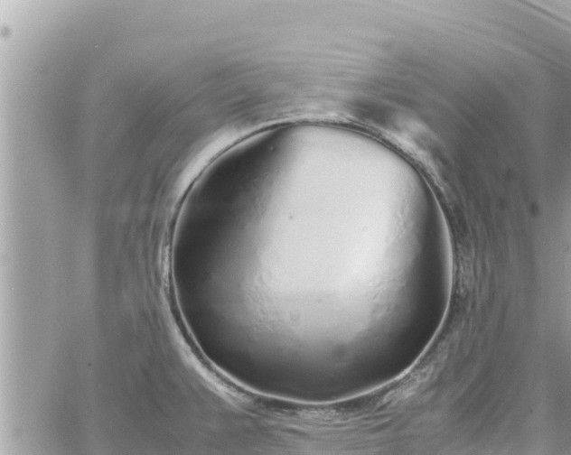 X0000060751383200511171111