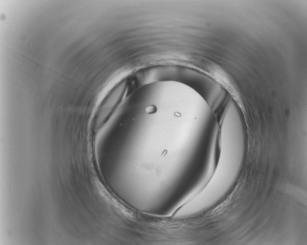 X0000060751384200511171111