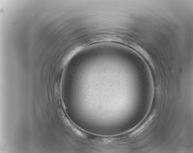 X0000060751385200511171111