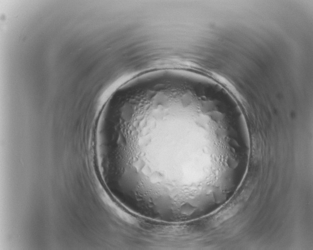 X0000060751387200511171111